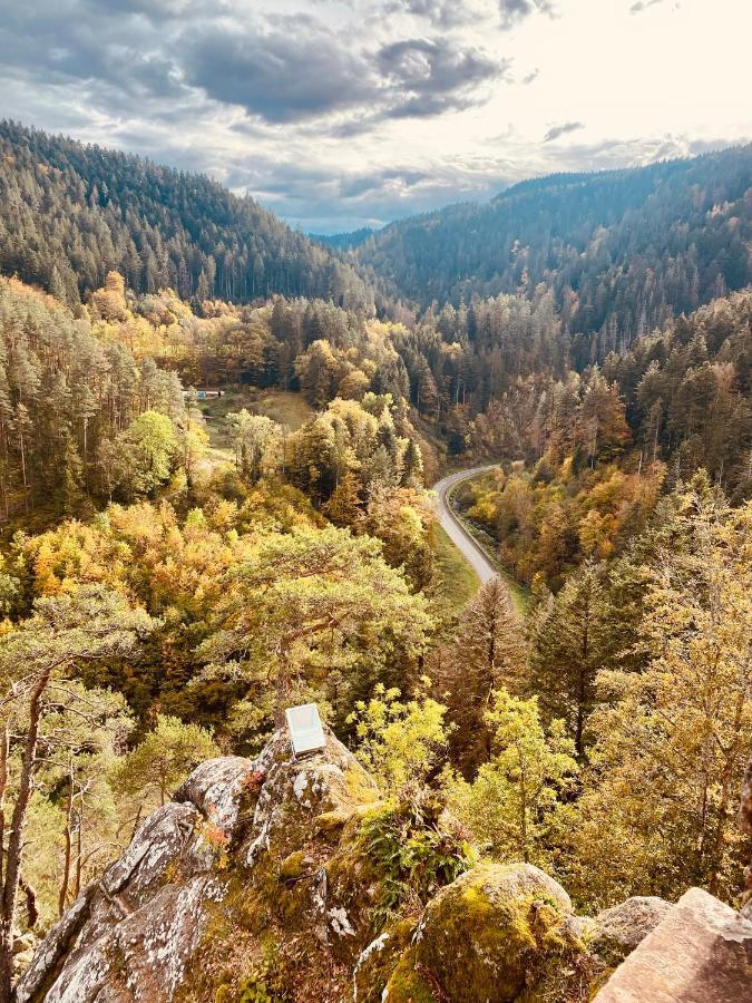 B71 - Appartement Im Herzen Des Schwarzwalds Schramberg Eksteriør billede